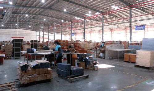 項目攻堅在行動 5年內可實現產值13億元 武平這個智慧工廠二期即將投入使用