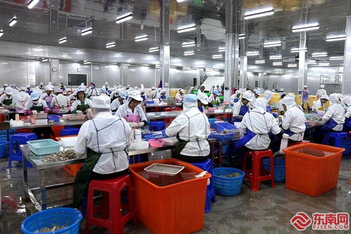 民營經(jīng)濟高質(zhì)量發(fā)展 詔安恒暉水產(chǎn) 專注水產(chǎn)定制化加工 年產(chǎn)值超10億元